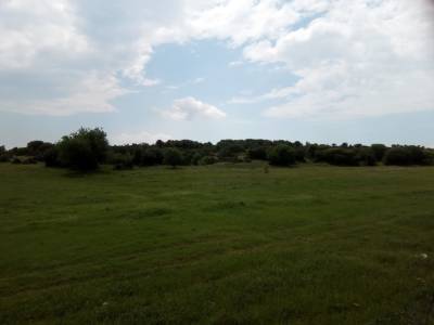 ΑΠΘ - Τι μας διδάσκουν τα μικρόβια εδάφους για την κλιματική αλλαγή