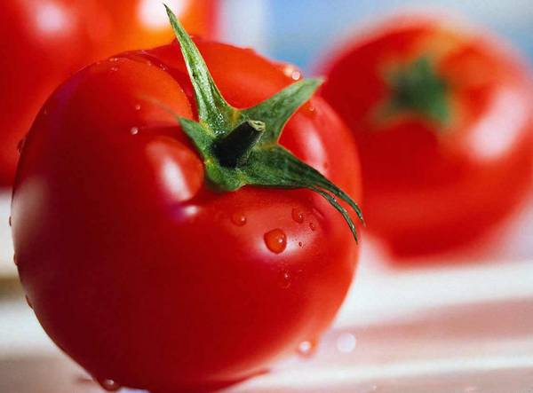 Ελληνοποιήσεις ντομάτας από Αλβανία και Σκόπια καταγγέλλει ο Αγροτικός Σύλλογος Φιλιατρών