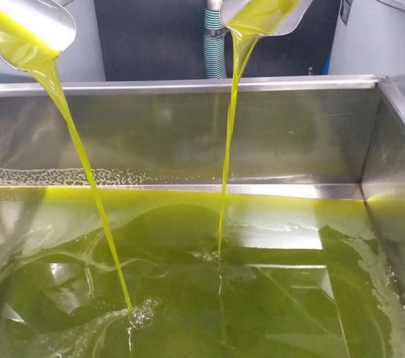 Αγροτικός Σύλλογος Χανδρινού: Ζητούν μέτρα για την τιμή του ελαιόλαδου