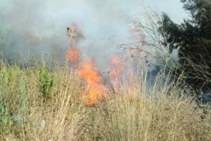 Πυρκαγιά κοντά στη Νέδα