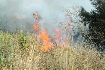 Πυρκαγιά κοντά στη Νέδα