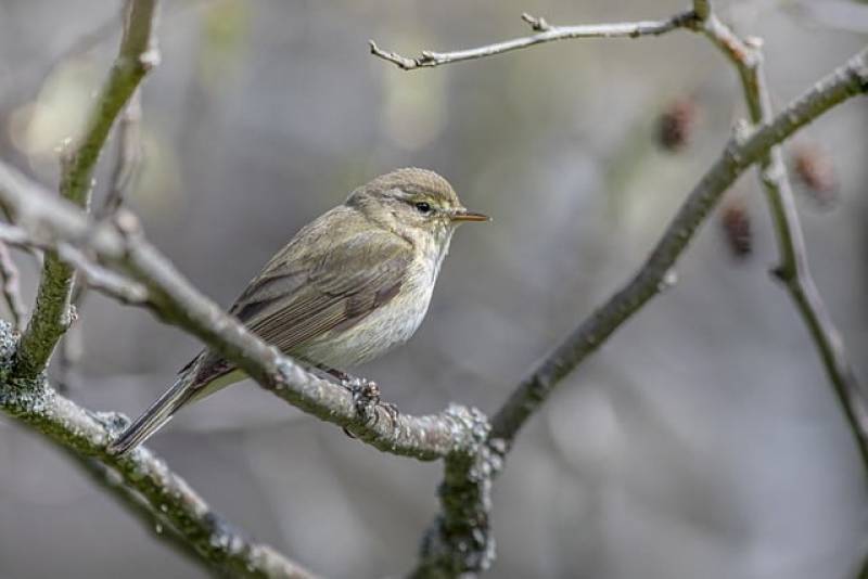 Αστρολογία – 16/09/2023