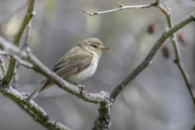 Αστρολογία – 16/09/2023