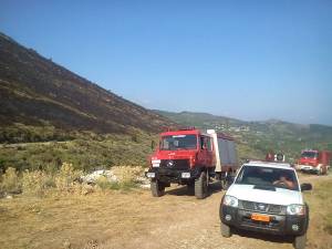 Κάηκαν 150 στρέμματα δάσους στον Αετό