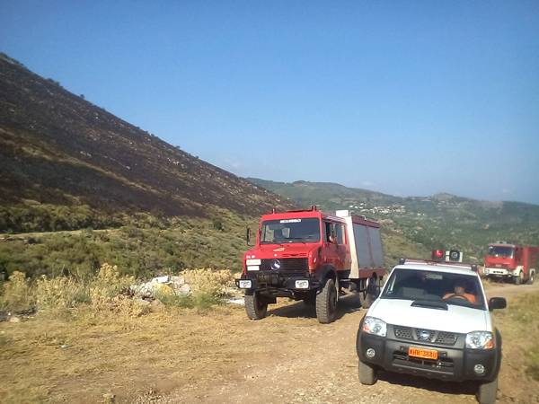 Κάηκαν 150 στρέμματα δάσους στον Αετό