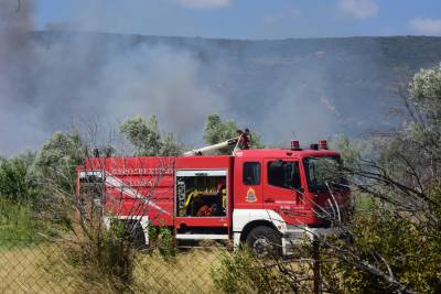 Φωτιά σε καλαμιώνα στη Μεσσήνη