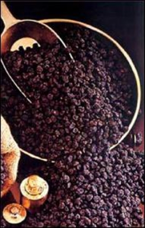 Καραμπάτος προς Κοζομπόλη για την τυποποίηση σταφίδας