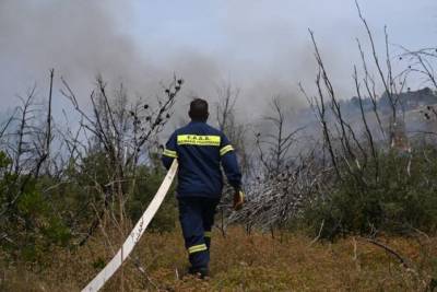 Yπό έλεγχο η πυρκαγιά στο Πλατύ