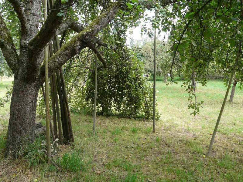 Οι τρεις πυλώνες της συντήρησης σε Μεσσηνία και Πελοπόννησο