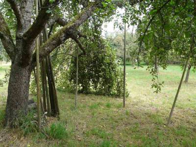 Οι τρεις πυλώνες της συντήρησης σε Μεσσηνία και Πελοπόννησο