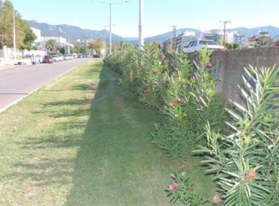 9,3 εκατ. ευρώ για οικονομικούς λαμπτήρες