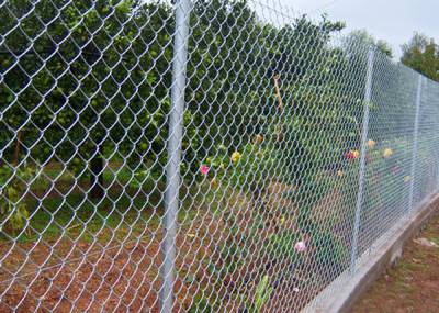 Εκλεψαν 150 σιδερένιους στύλους περίφραξης στην Τριφυλία