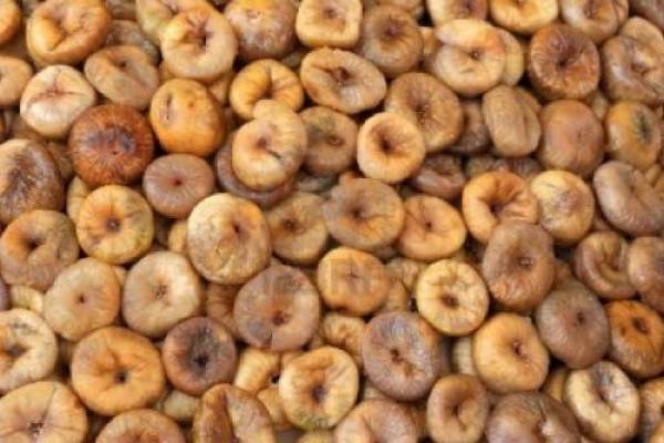 Η συκοπαραγωγή στην εποχή του ανταγωνισμού