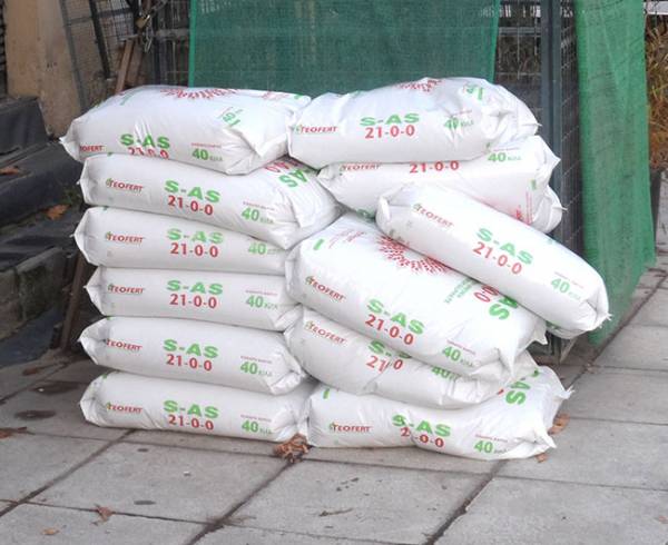 Η καλή τιμή του λαδιού κίνητρο για λίπανση των ελιών