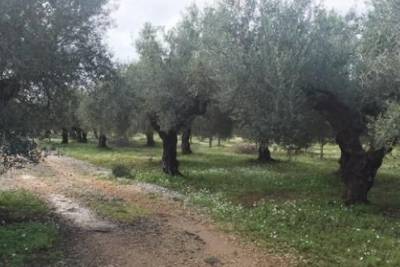 Το φιάσκο με τους χάρτες θα πληρωθεί στην κάλπη