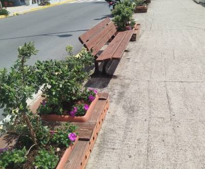 Καλαμάτα: Ευπρεπισμός στην πόλη και τις κοινότητες ενόψει Πάσχα - Συνεχίζονται οι φυτεύσεις ανθοφύτων