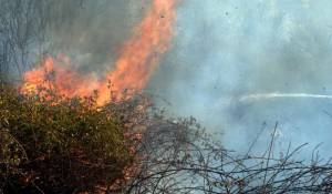 Στις αυλές σπιτιών έφθασε η φωτιά στα Ισθμια