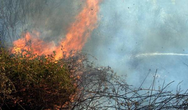 Στις αυλές σπιτιών έφθασε η φωτιά στα Ισθμια