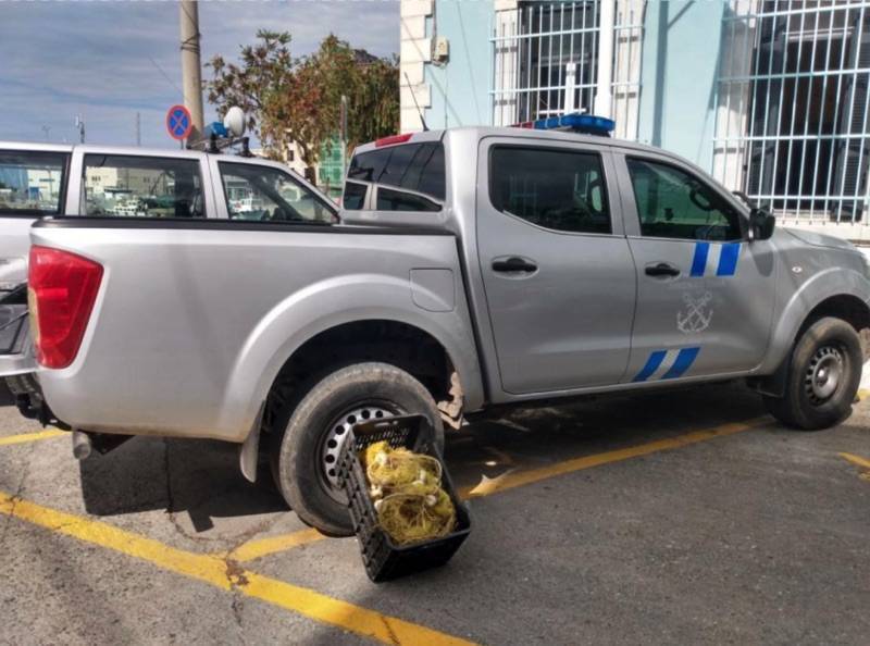 Απολογισμός δράσης του Κεντρικού Λιμεναρχείου Καλαμάτας τον Ιούλιο