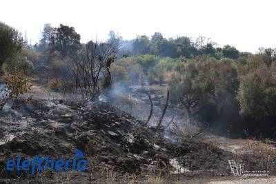Μεσσηνία: Νέα φωτιά σε δασική έκταση στα Πετράλωνα του Δήμου Μεσσήνης
