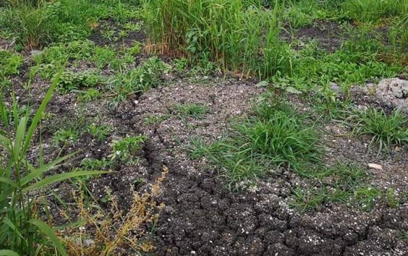 Η διαχείριση της λυματολάσπης δεν μπορεί να περιμένει άλλο