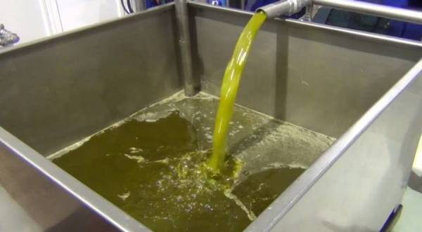 Πετράκος κατά κυβέρνησης για το τυνησιακό ελαιόλαδο