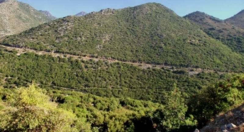 Δημοτικό Συμβούλιο Δυτικής Μάνης: Ομόφωνο ψήφισμα για το δρόμο Μηλέα - Παναγιά Γιάτρισσα