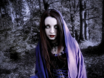 Οι φοροφυγάδες πίνουν το αίμα της Δημοκρατίας