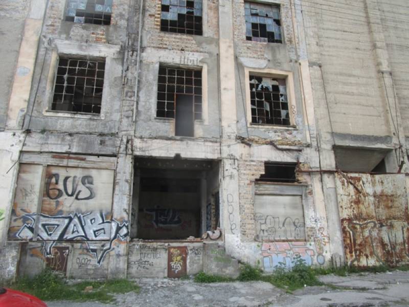 Ξέφραγο αμπέλι οι μύλοι στο λιμάνι της Καλαμάτας