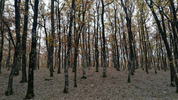 Οι δράσεις των πεζοπόρων του Ευκλή τον Απρίλιο