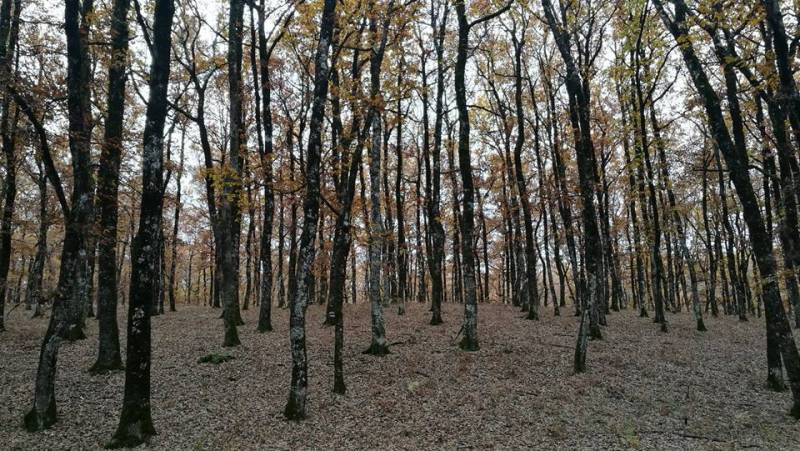 Οι δράσεις των πεζοπόρων του Ευκλή τον Απρίλιο