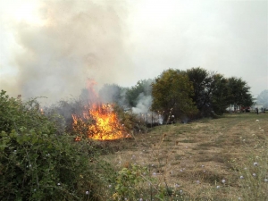 Προβληματίζουν οι φωτιές στον Αετό