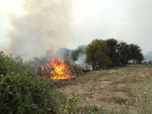 Προβληματίζουν οι φωτιές στον Αετό