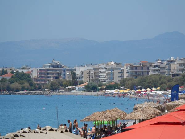 Πόσους κάγκουρες εξυπηρέτησες σήμερα;