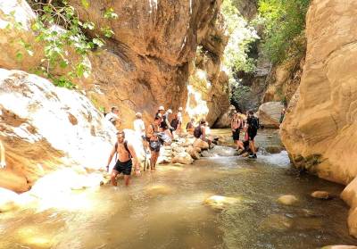 Ο Ορειβατικός στο φαράγγι της Νέδας
