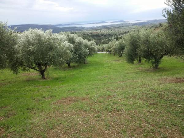 Το κράτος αρπάζει ιδιωτικές περιουσίες