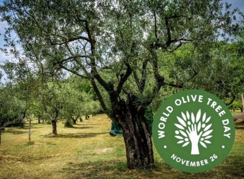 Δράσεις για την Παγκόσμια Ημέρα Ελιάς