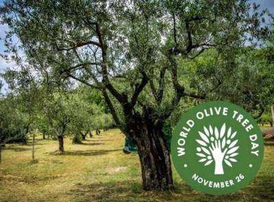 Δράσεις για την Παγκόσμια Ημέρα Ελιάς