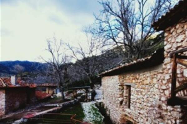 “Ο δρόμος της Σοφίας” στο Μουσείο Δημητσάνας