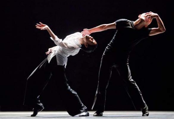 Ο προϋπολογισμός του Φεστιβάλ Χορού στο Δ.Σ. της "Φάρις"