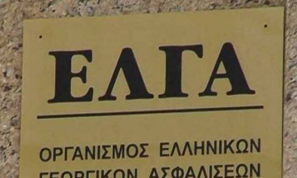 Δήμος Καλαμάτας: Πορίσματα του ΕΛΓΑ για ζημιές του Σεπτεμβρίου