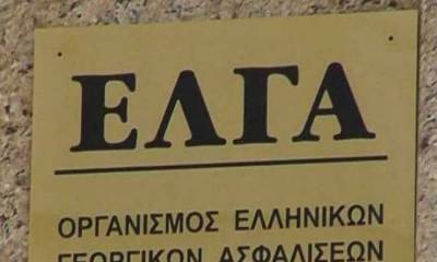 Δήμος Καλαμάτας: Πορίσματα του ΕΛΓΑ για ζημιές του Σεπτεμβρίου