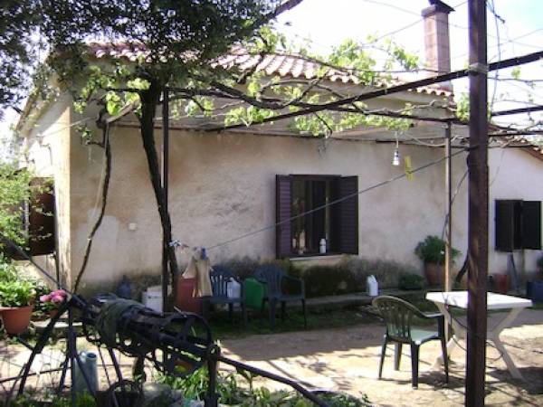 Συνελήφθη 71χρονος για ληστεία στα Φιλιατρά