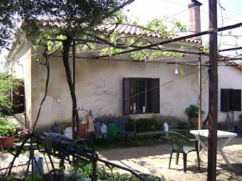 Συνελήφθη 71χρονος για ληστεία στα Φιλιατρά