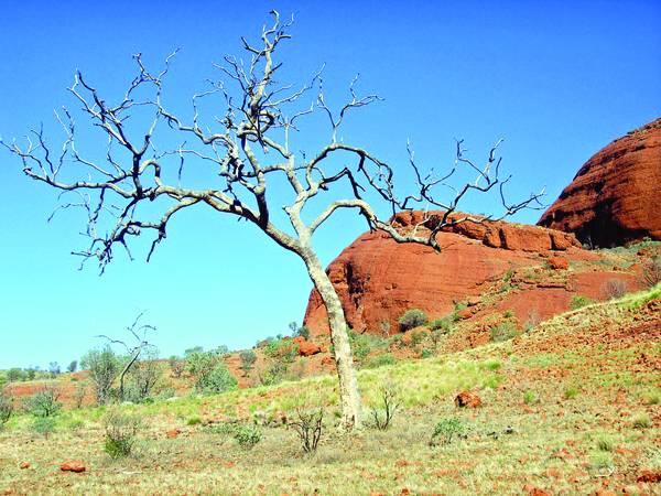 Η επενδυτική άπνοια βλάπτει σοβαρά τα... εισοδήματα