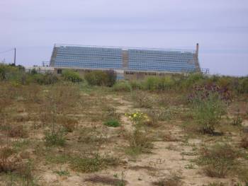 39.000 ευρώ για χλοοτάπητα στο γήπεδο των Φιλιατρών