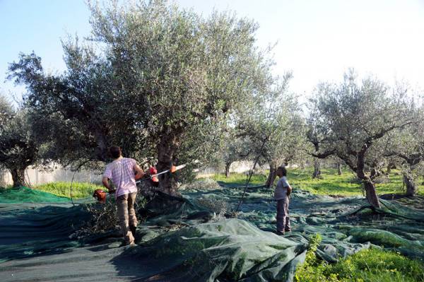 «Ναι» στην τροποποιημένη πρόταση αγοράς του Αγροτικού Γαργαλιάνων