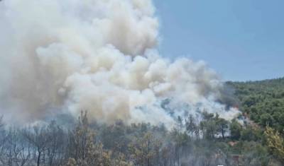 Βελτιωμένη η εικόνα της πυρκαγιάς στο Άνω Σούλι Μαραθώνα (βίντεο)