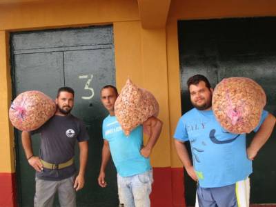 Μεροκάματα στα σύκα