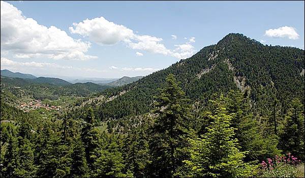 "Αειφόρος ανάπτυξη στην περιοχή του Μαινάλου"